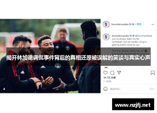 揭开林加德调侃事件背后的真相还原被误解的笑谈与真实心声