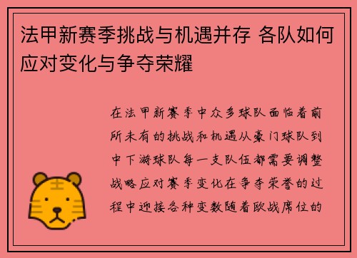法甲新赛季挑战与机遇并存 各队如何应对变化与争夺荣耀